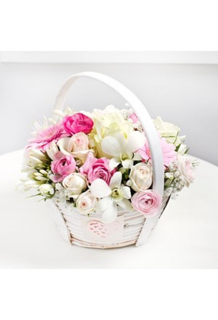 Basket arrangement in lig.. Basket arrangement in lig..