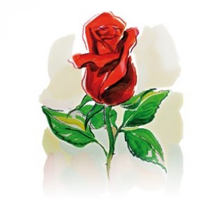 Card - Rose..