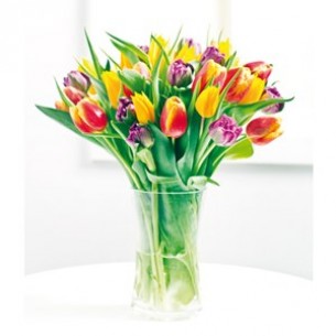 Card - Tulips..
