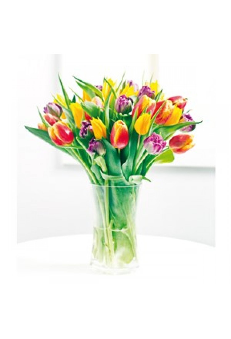 Card - Tulips..