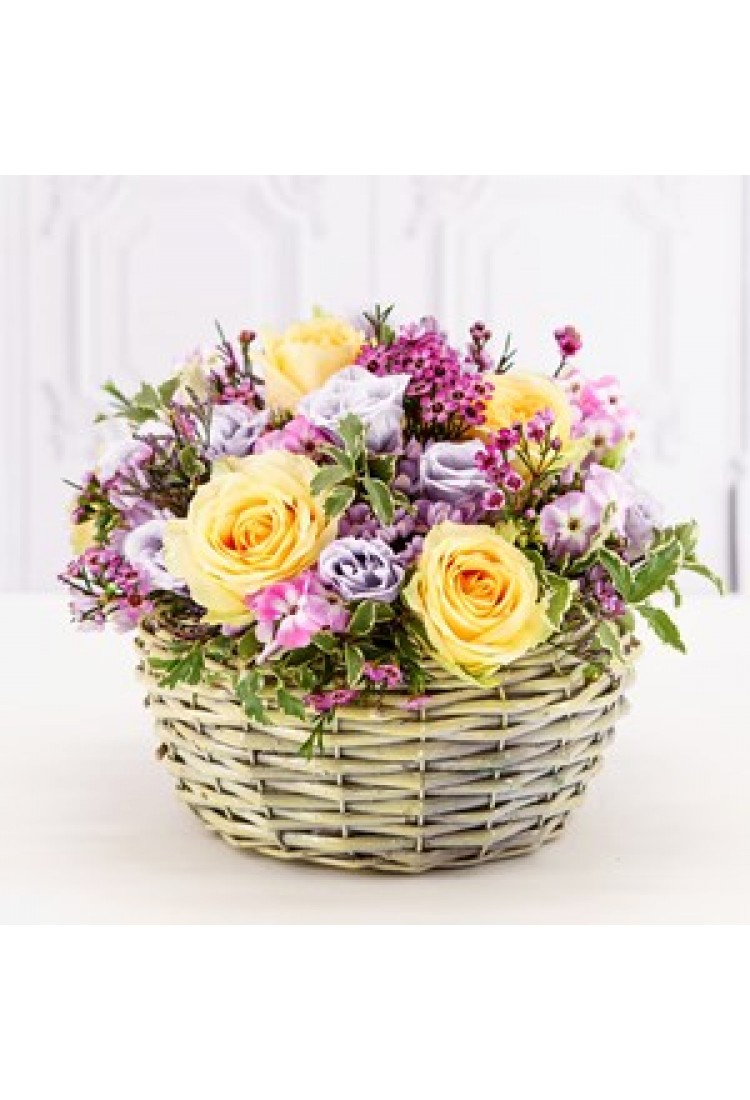 Madame Butterfly.. Madame Butterfly..