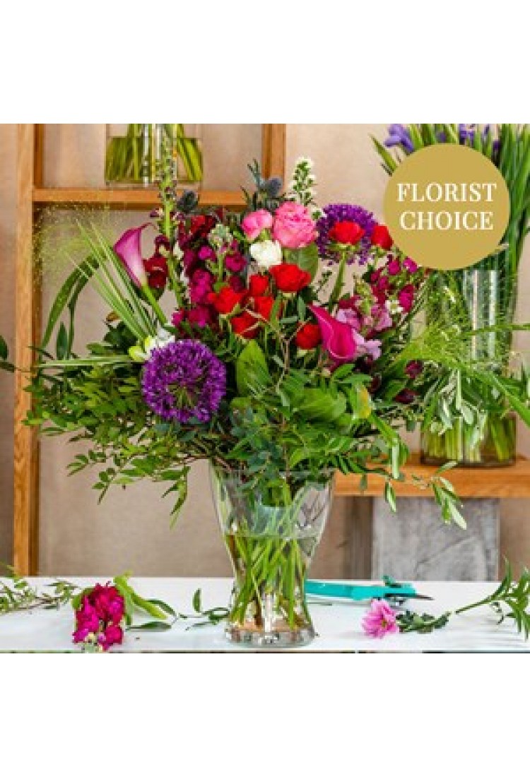 Purple-red florist's fant.. Purple-red florist's fant..