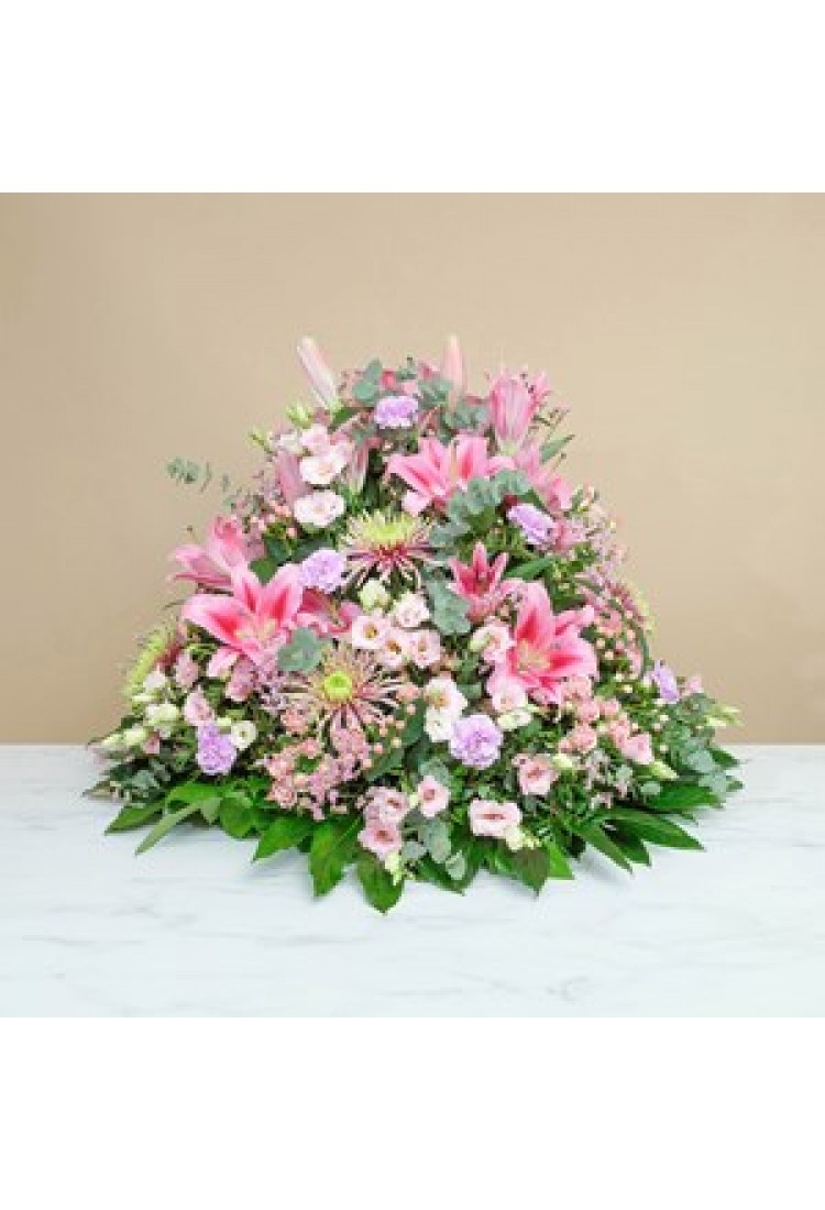 Ame libre.. Ame libre..