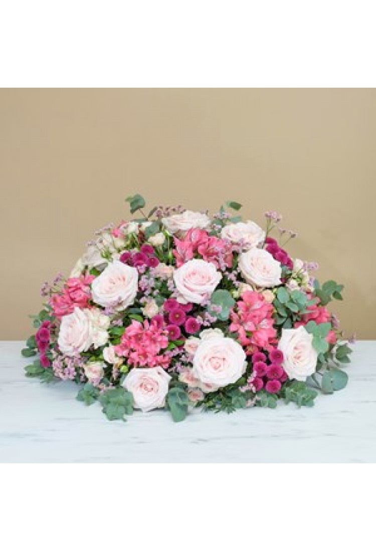 Bel hommage rose.. Bel hommage rose..