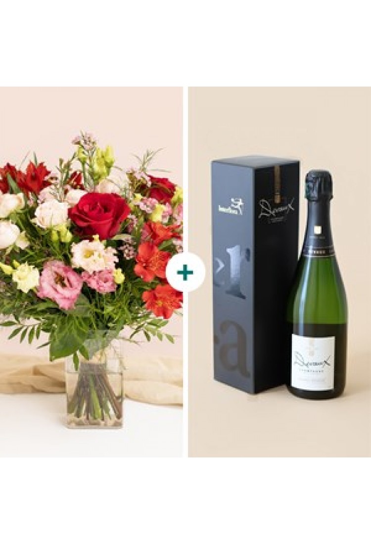 Declaration and champagne..