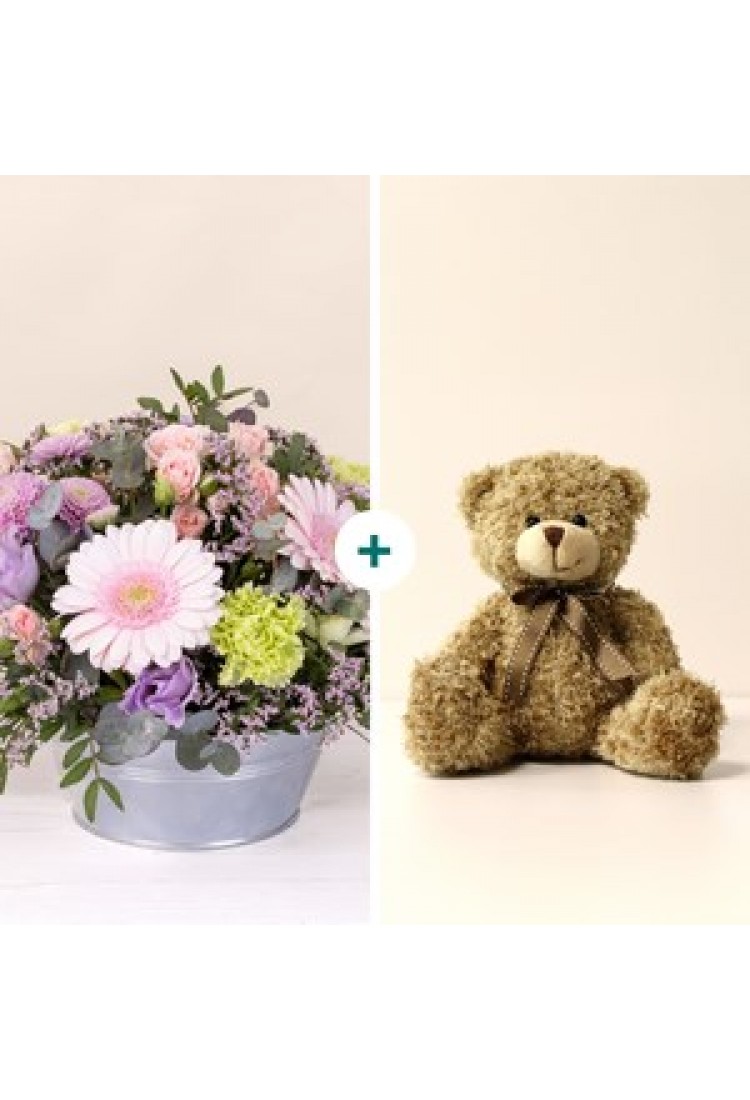 Pastel bloom and teddy be.. Pastel bloom and teddy be..