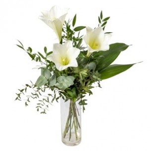 Deepest Sympathy.. Deepest Sympathy..