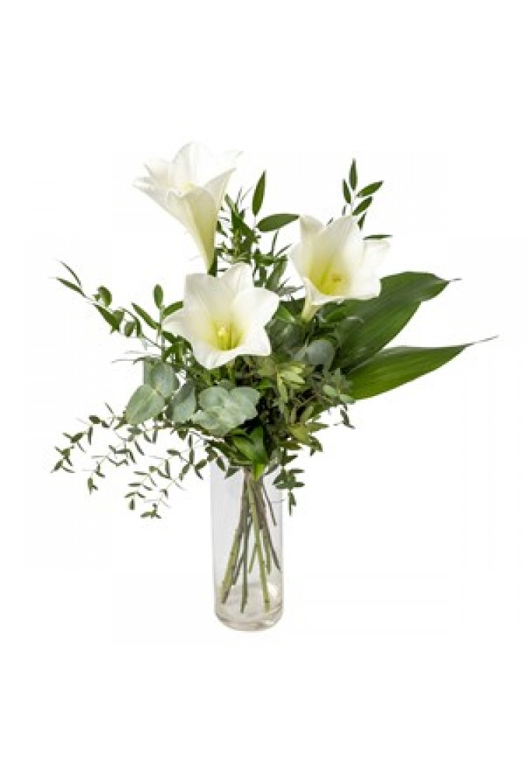 Deepest Sympathy.. Deepest Sympathy..