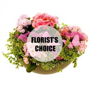 Florist's choice planting..