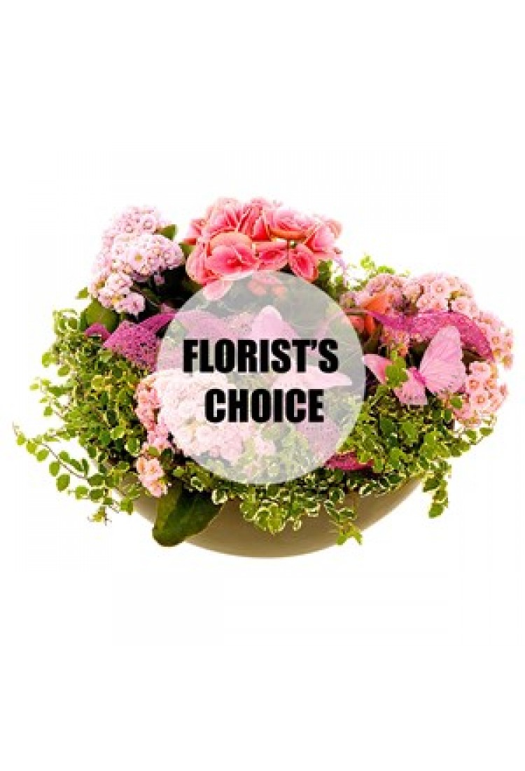 Florist's choice planting..