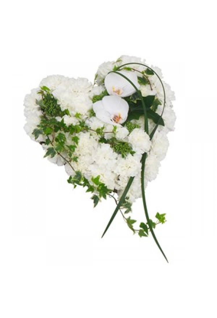 Forever in our hearts - f.. Forever in our hearts - f..