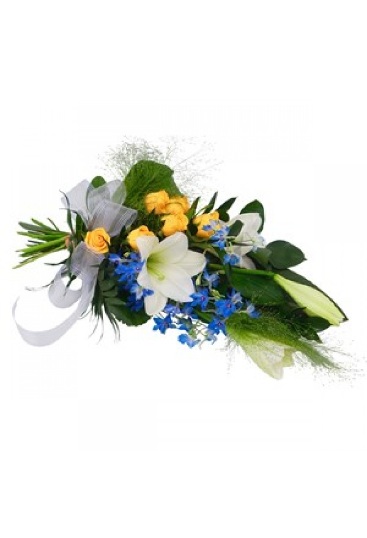 Silence has arrived -fune.. Silence has arrived -fune..