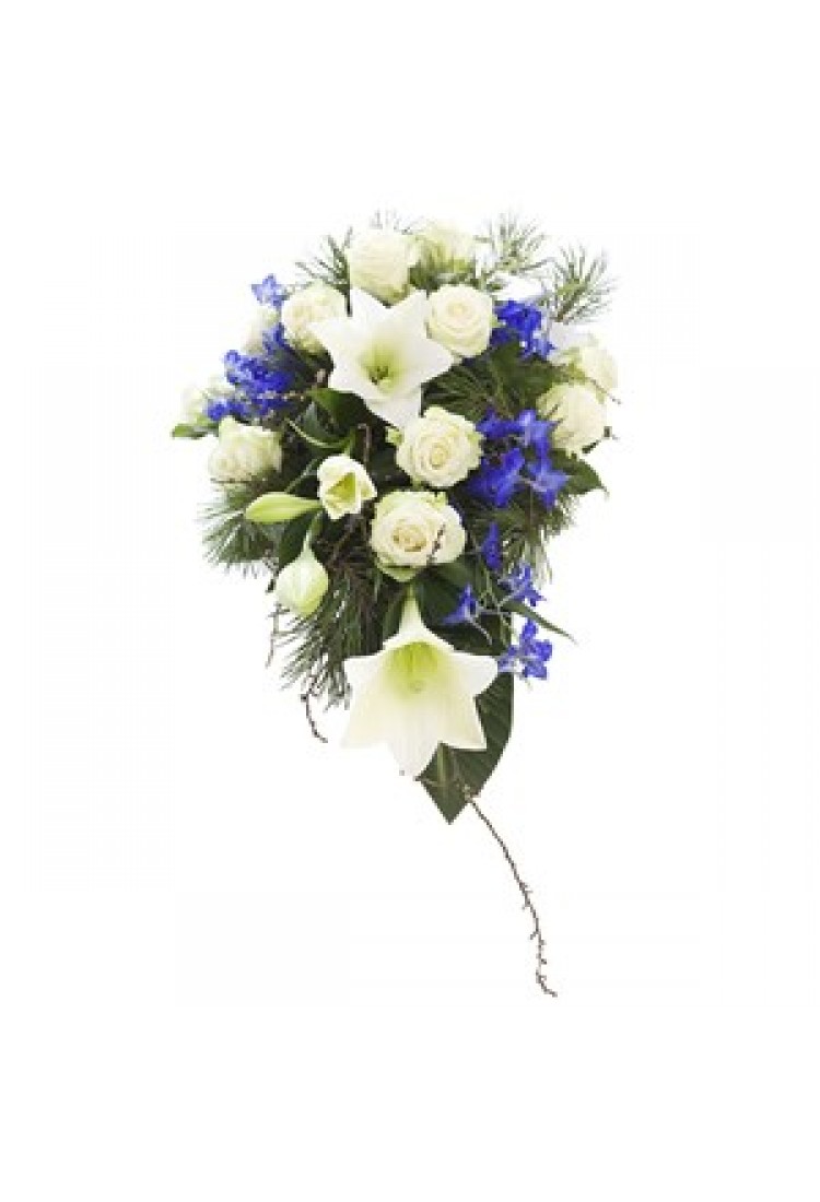 The sky is blue and white..