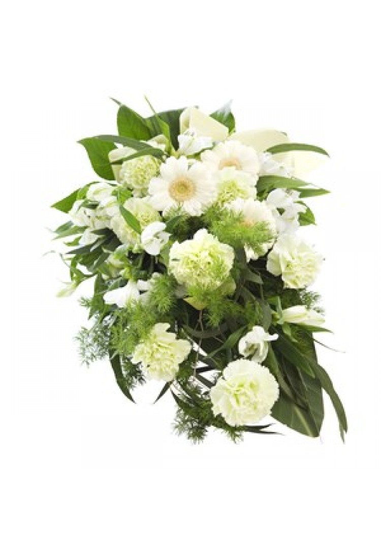 To your bright memory -fu..