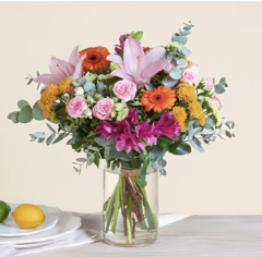 Sous le sapin - Under the.. Sous le sapin - Under the..