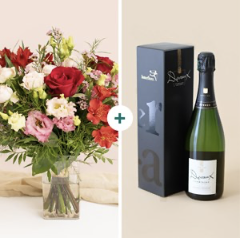 Declaration and champagne.. Declaration and champagne..