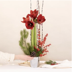 Fete enchantee - Enchante.. Fete enchantee - Enchante..