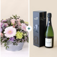 Pastel bloom and champagn.. Pastel bloom and champagn..
