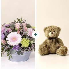 Pastel bloom and teddy be.. Pastel bloom and teddy be..