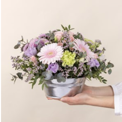 Pastel bloom - Zeste tend.. Pastel bloom - Zeste tend..