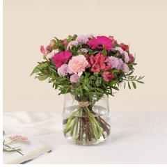 Pink Powdery softness - D..