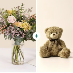 Sorbet and Teddy bear - S.. Sorbet and Teddy bear - S..