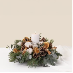 Sous le sapin - Under the..