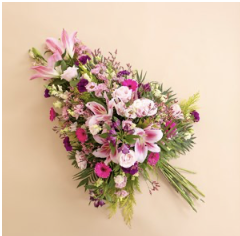 Voyage astral rose..