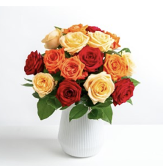 Kiss of Roses..