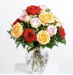 Happiness of the Roses..