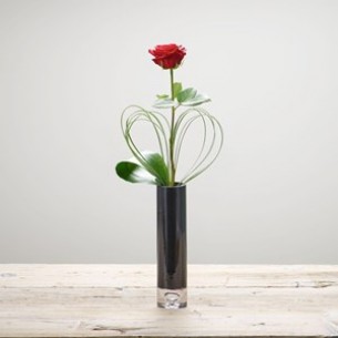 Single Flower..