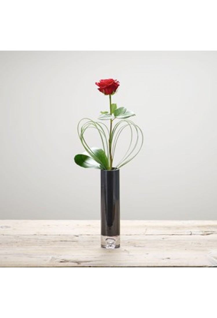 Single Flower..