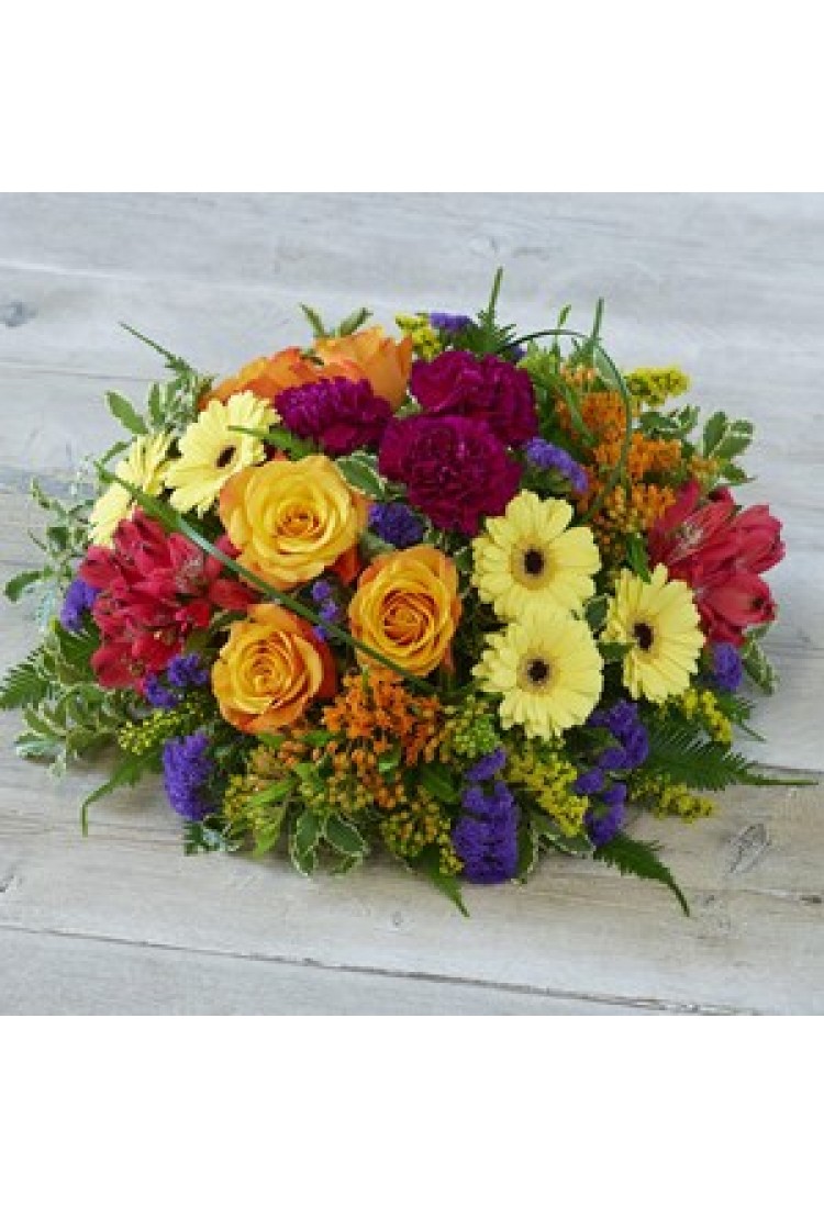 Extra Large Bold Brights ..