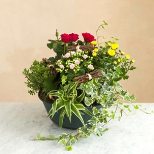 Giardino della memoria..