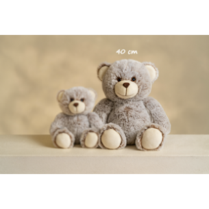 Big bear - 40 cm. Only wi..