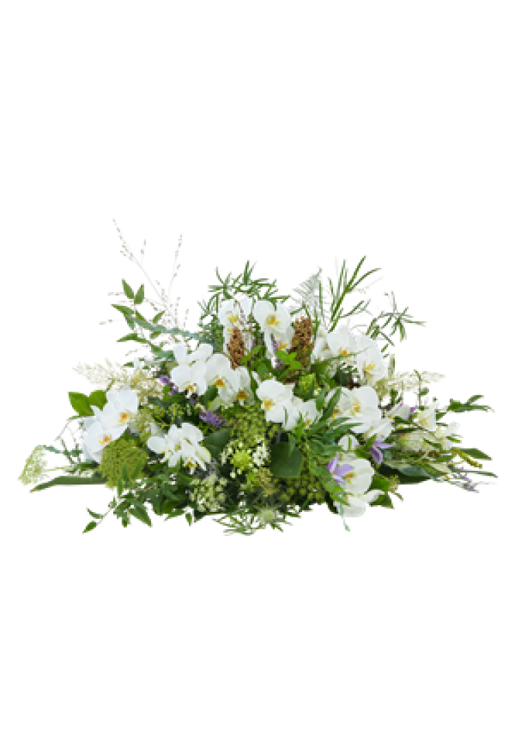 Funeral - Pure lush..