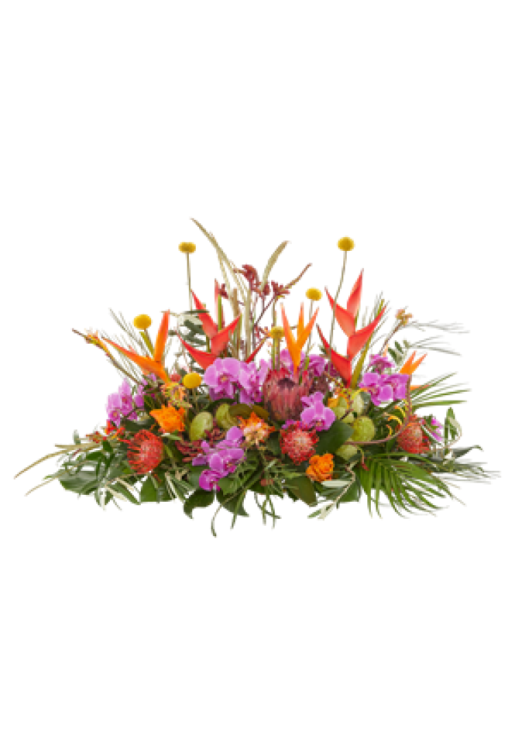 Funeral - Tropical garden..