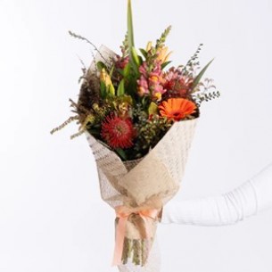 Harakeke Vibrant and Brig..