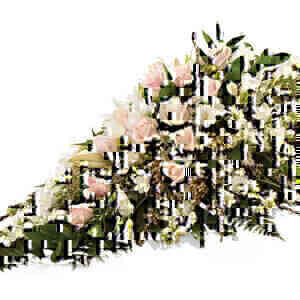 In Remembrance..