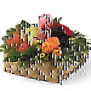 Pacific Basket..