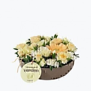 Welcome to this world wit..