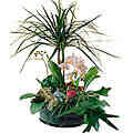 7CH48183CH-Elegant Plant ..