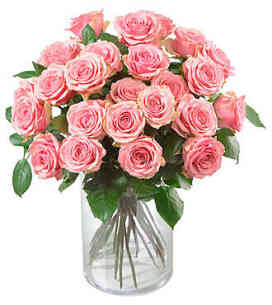 7CH49371CH-24 Pink Roses..