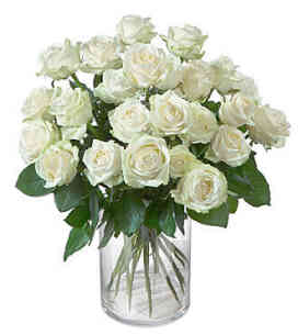 7CH49372CH-24 White Roses..