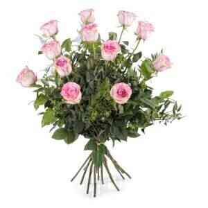 12 Long-stemmed Pink Rose..