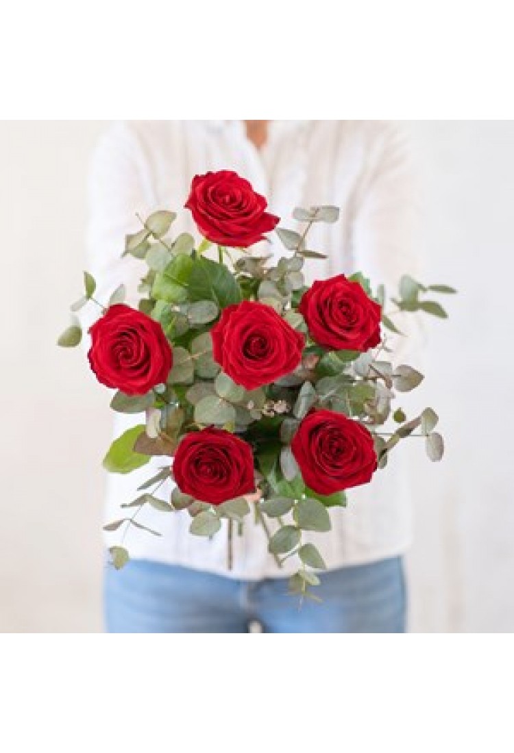 Bouquet of 6 red roses..
