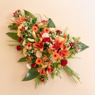 Orange astral travel..