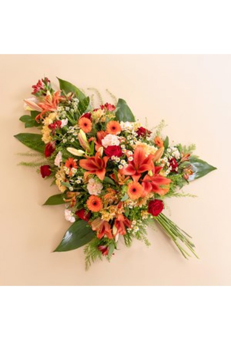 Orange astral travel..