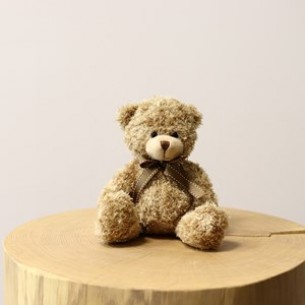 Teddy Bear..