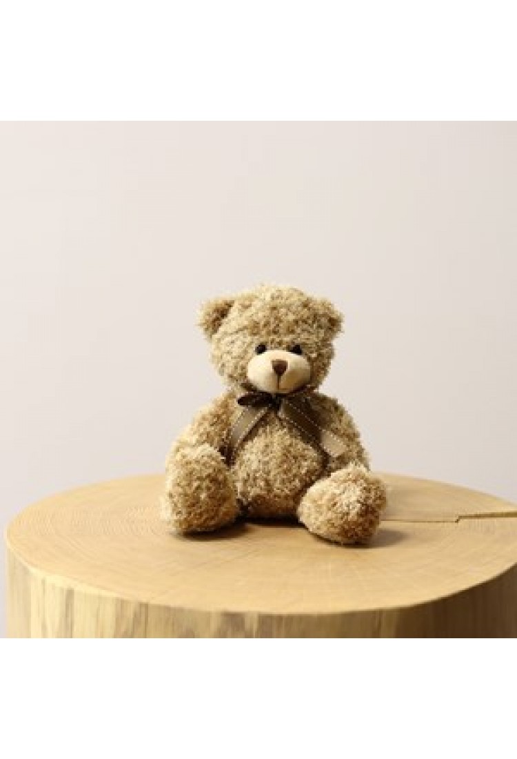 Teddy Bear..